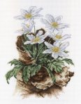 (image for) First Flowers